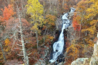 White-oak-canyon-waterfalls_-_Virginia_-_ForestWander.jpg